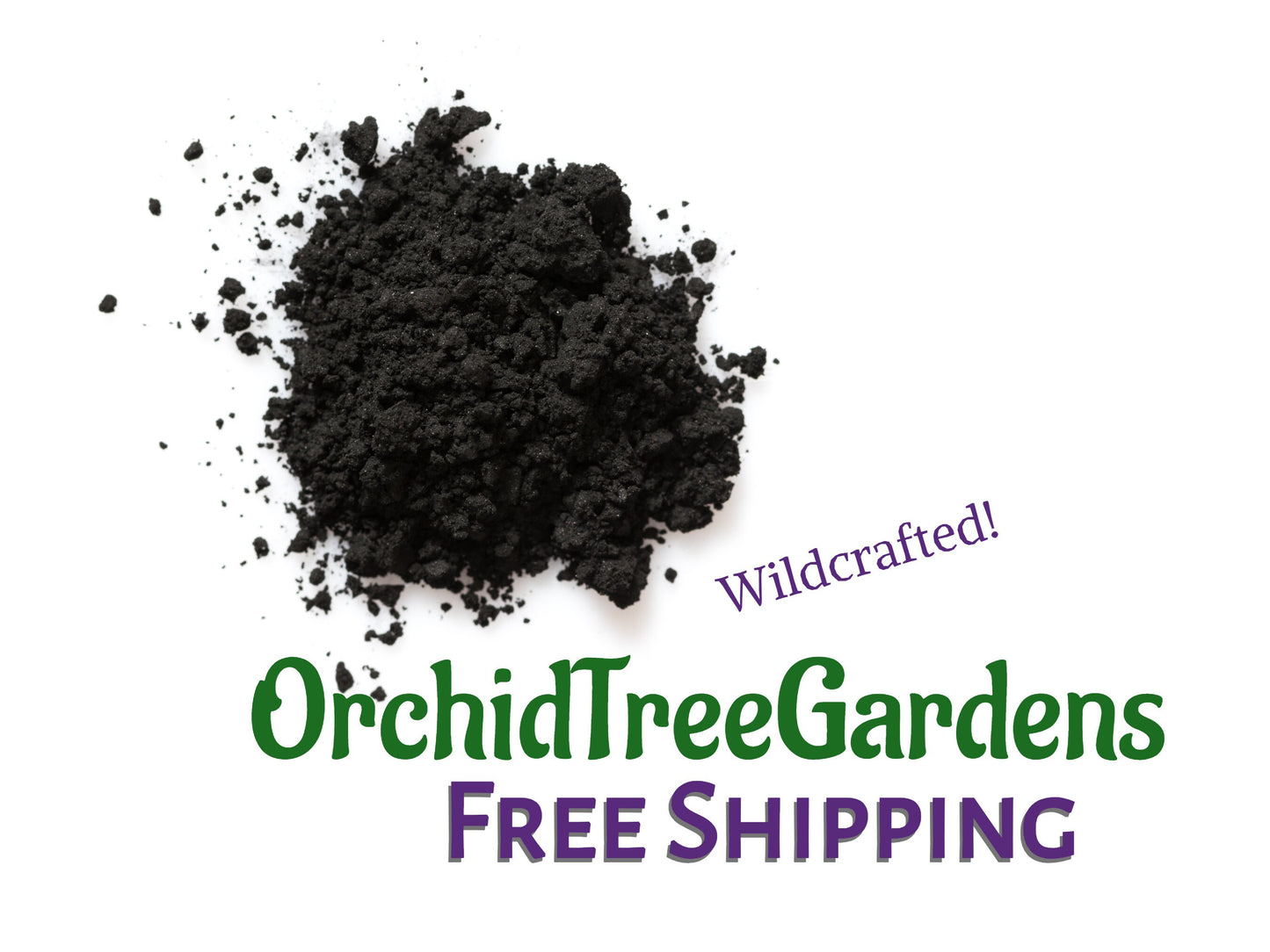 Activated Charcoal, powder WILDCRAFTED - Better than organic! Free Shipping rainforestexotics