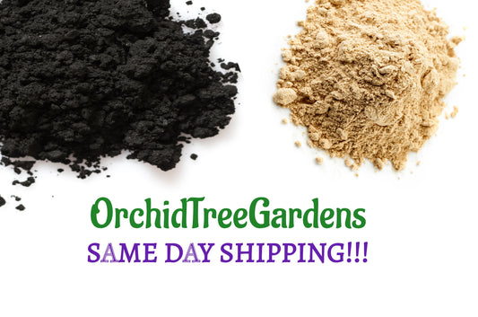 Activated Charcoal & Slippery Elm, Mixed Combination! Same Day Shipping!!!