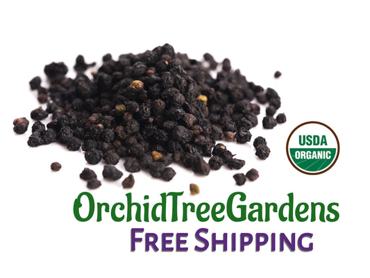 Elderberry - whole UDSA ORGANIC