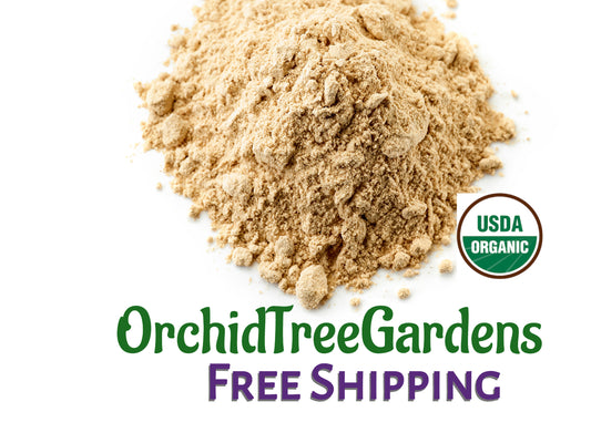 Ginger Root powder UDSA ORGANIC Dried Herb Powder