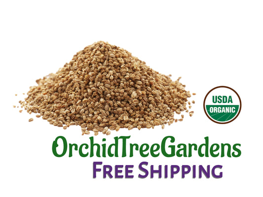 Celery Seeds whole UDSA ORGANIC Dried Herb