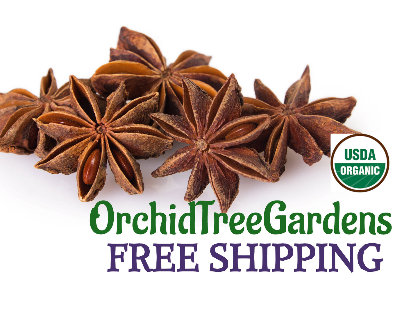 Star Anise - whole  UDSA ORGANIC