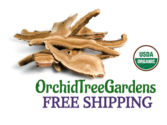 Reishi Mushroom - sliced  UDSA ORGANIC Dried Mushrooms