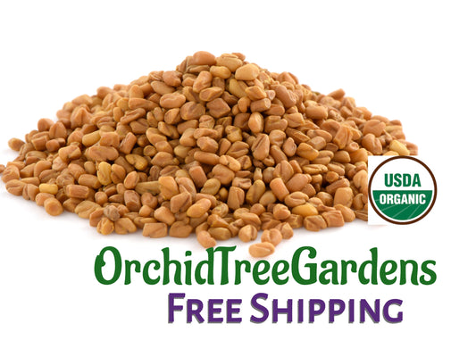 Fenugreek Seeds - whole  UDSA ORGANIC Dried Herbs