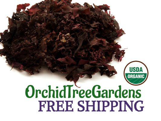 Dulse - cut & sifted  UDSA ORGANIC Dried Herbs