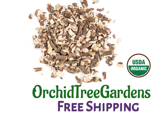 Burdock Root cut & sifted USDA Organic Dried Herbs