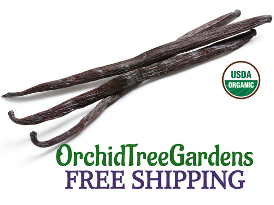 Madagascar Vanilla Bean USDA ORGANIC